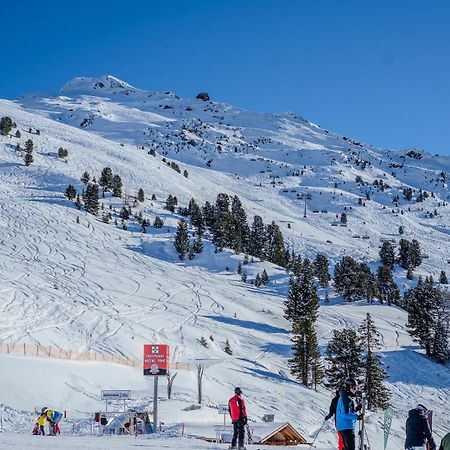 Appartement Pitztal-Hochzeiger Inclusive Pitztal-Sommer Card 耶岑斯 外观 照片